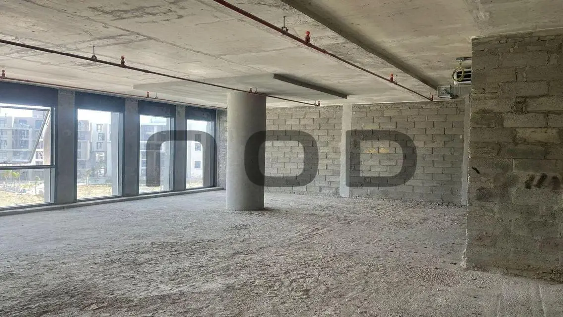 Luxury Apartment in AUC