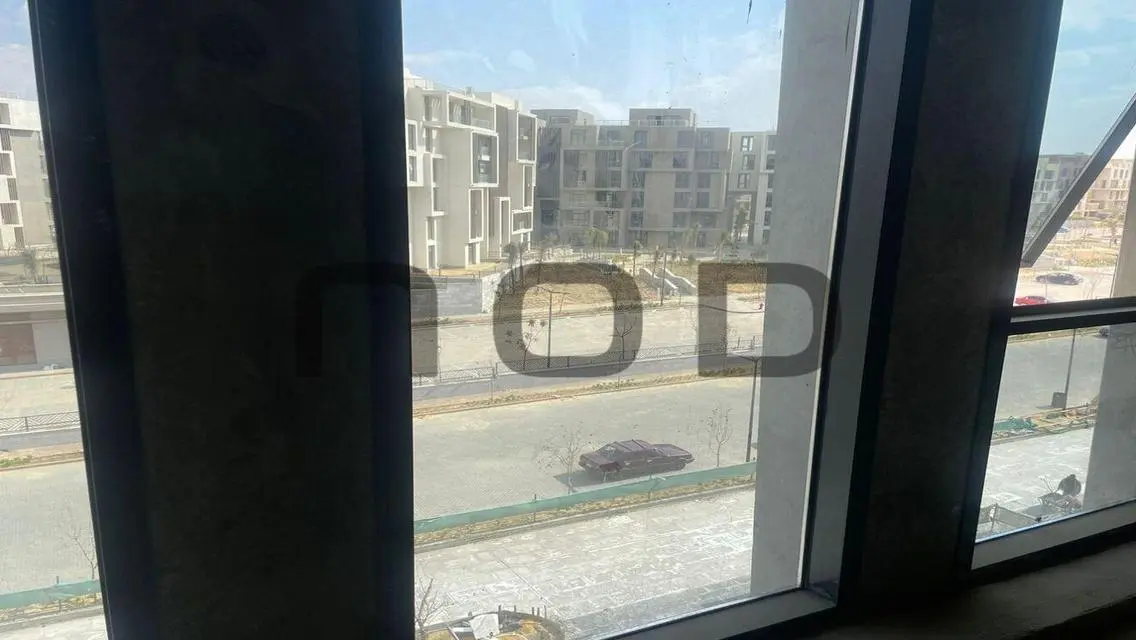 Luxury Apartment in AUC