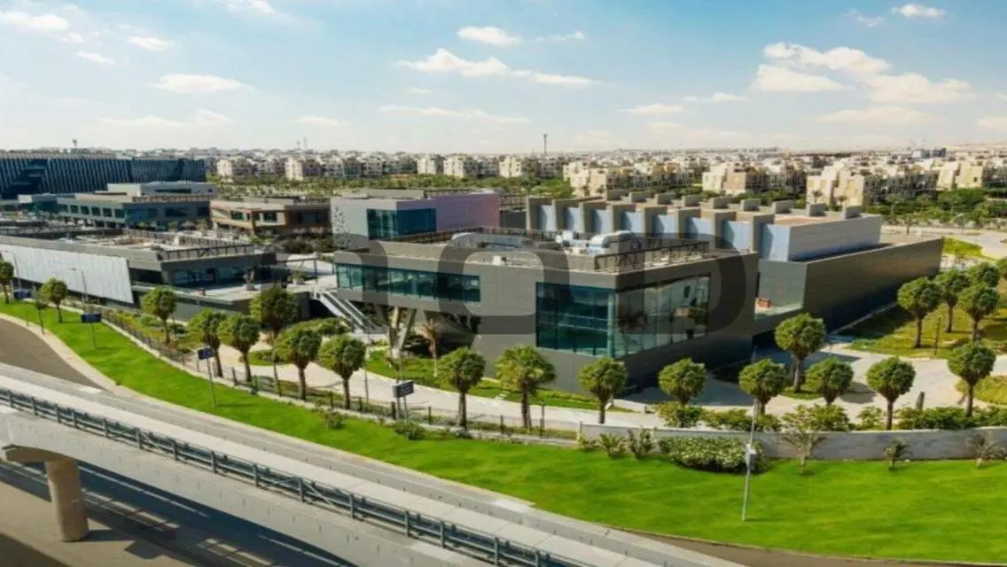 Luxury Apartment in AUC