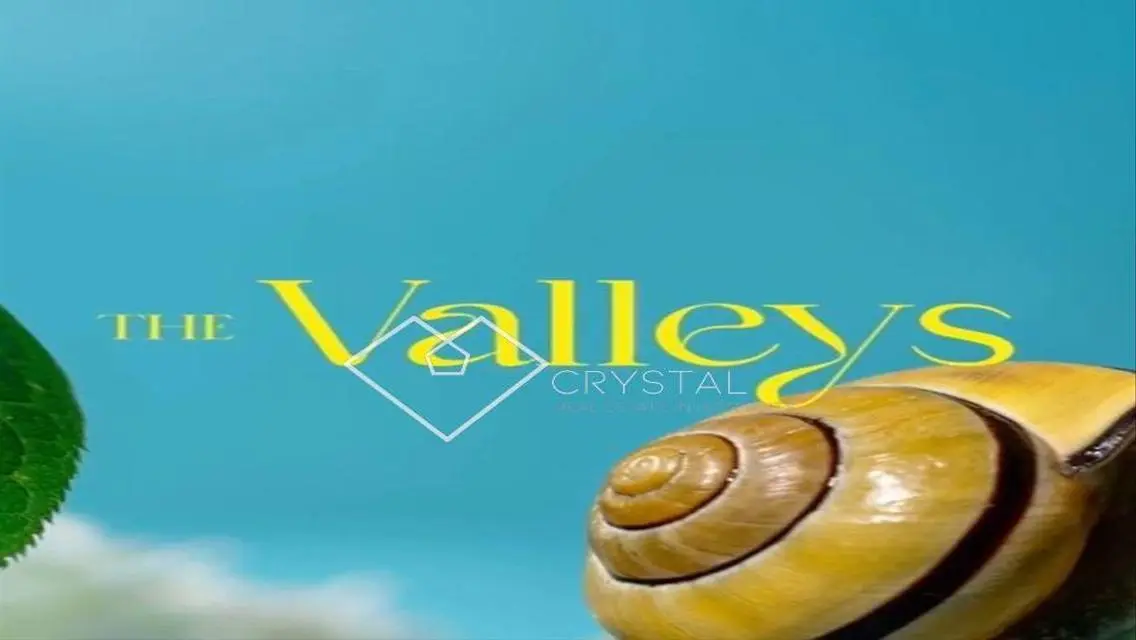 Stunning Property in The Valleys 223