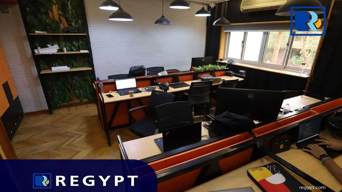 Luxurious Apartment in the Heart of Cairo