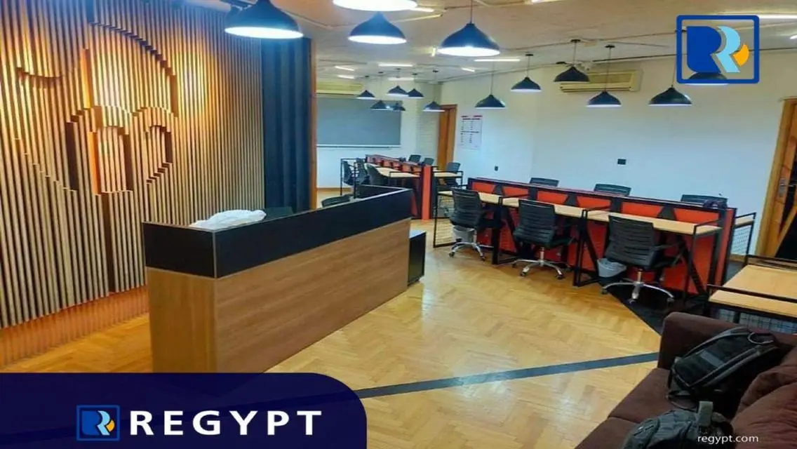 Luxurious Apartment in the Heart of Cairo