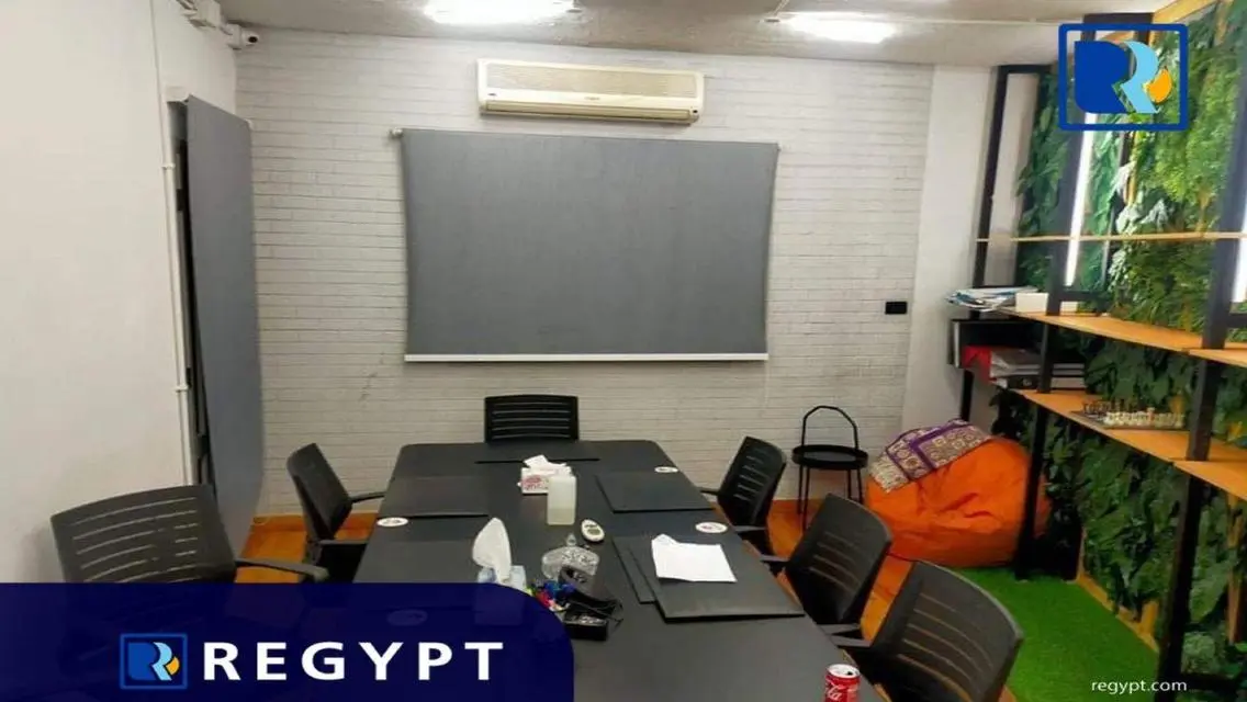 Luxurious Apartment in the Heart of Cairo