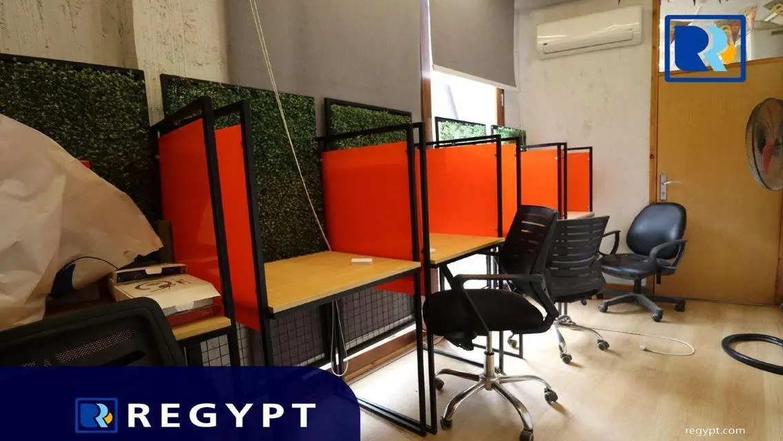 Luxurious Apartment in the Heart of Cairo