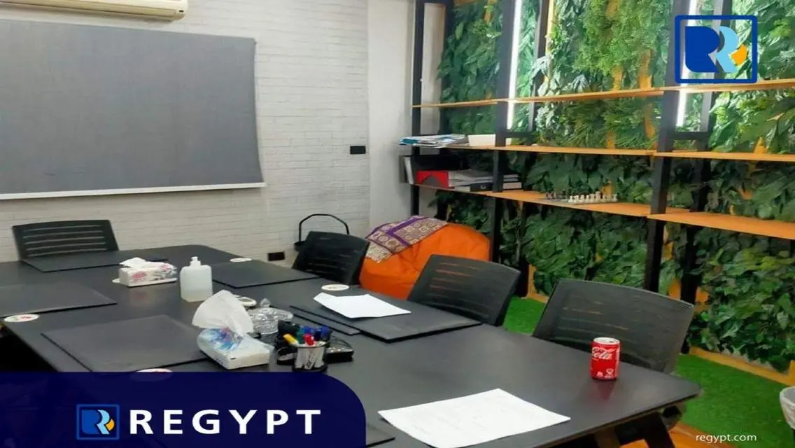 Luxurious Apartment in the Heart of Cairo