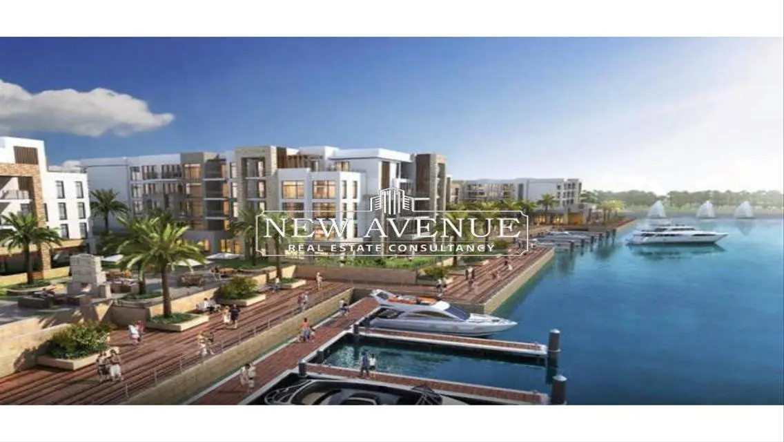 Own Your Dream Apartment Today