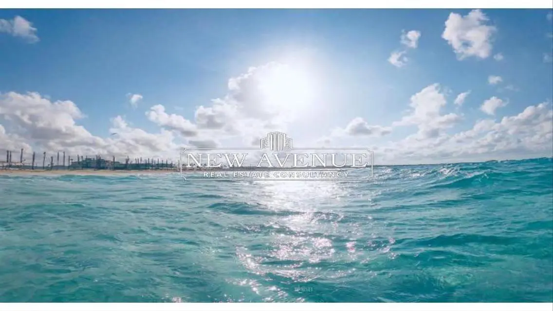 Own Your Dream Apartment Today