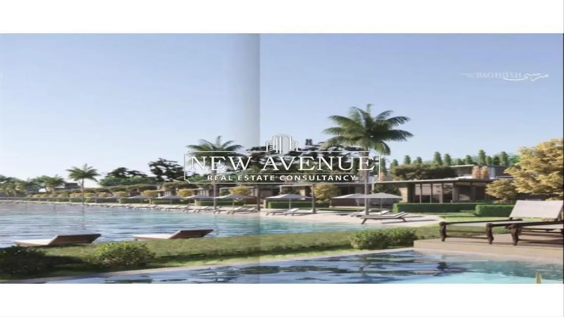 Own Your Dream Apartment Today