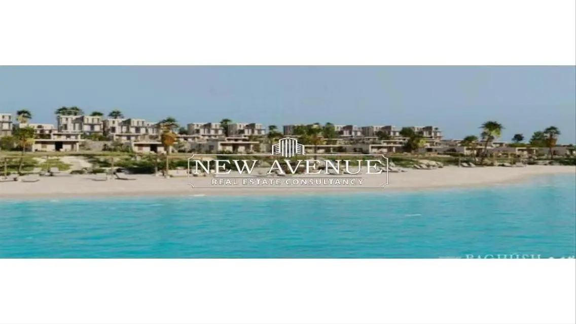 Own Your Dream Apartment Today
