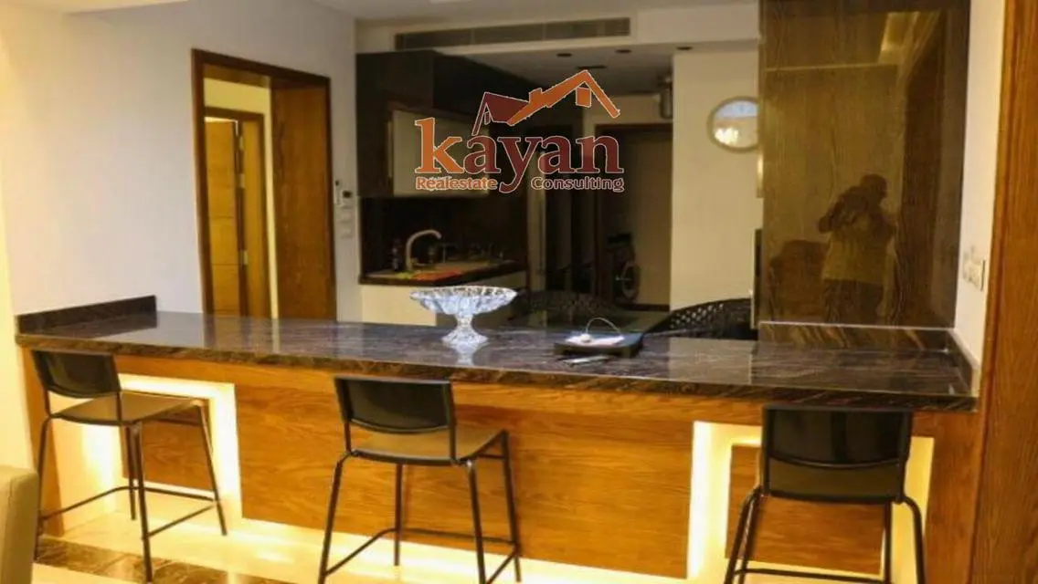 Luxury Apartment for Rent in the City Center