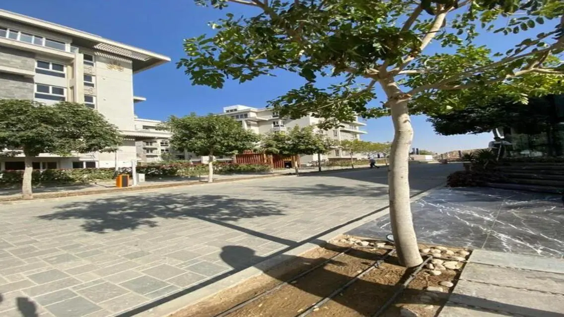 Premium Apartment in Mountain View - iCity
