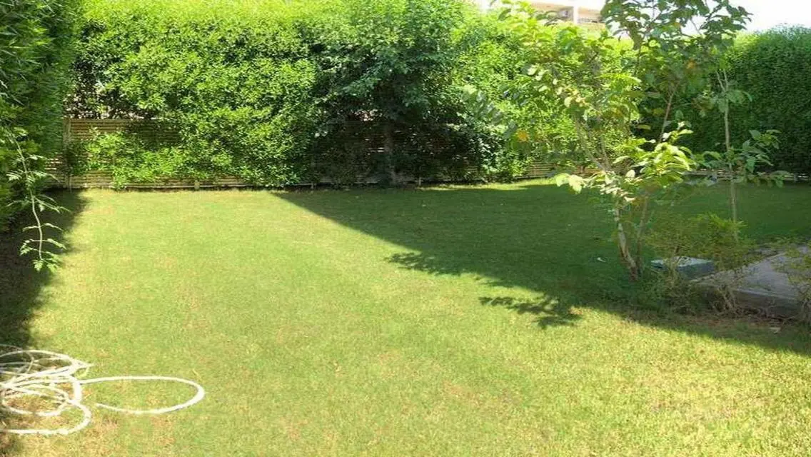 Luxury Apartment for Rent in a Quiet Neighborhood