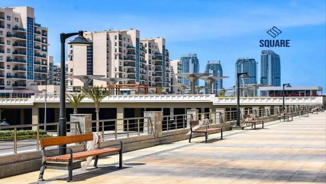 Luxury Apartment in Downtown
