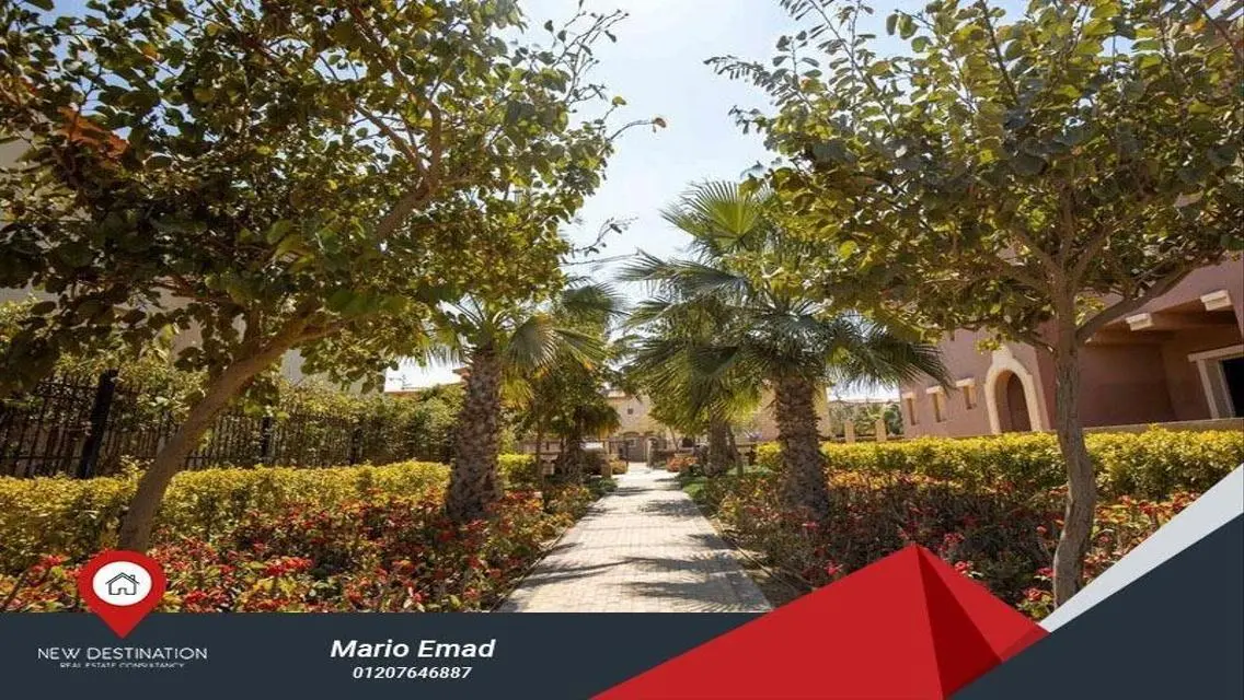 Unique Investment Opportunity - Luxurious Apartment for Sale