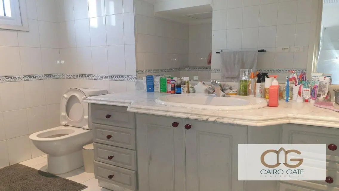 Prestigious Modern Apartment with Nile View in Zamalek
