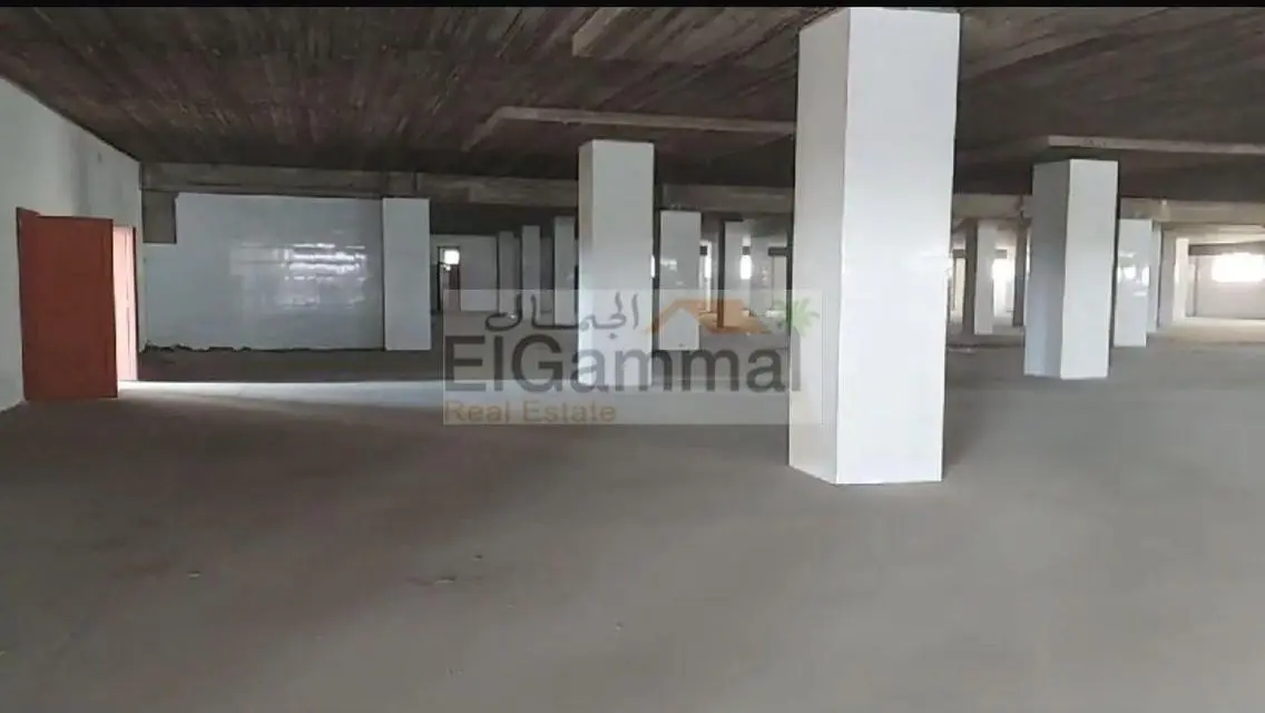 Exceptional Investment Opportunity - Luxury Office Space for Sale