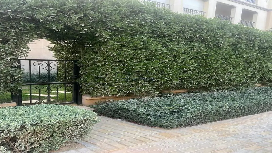 Luxury Apartment for Rent in a Prime Location with Full Amenities