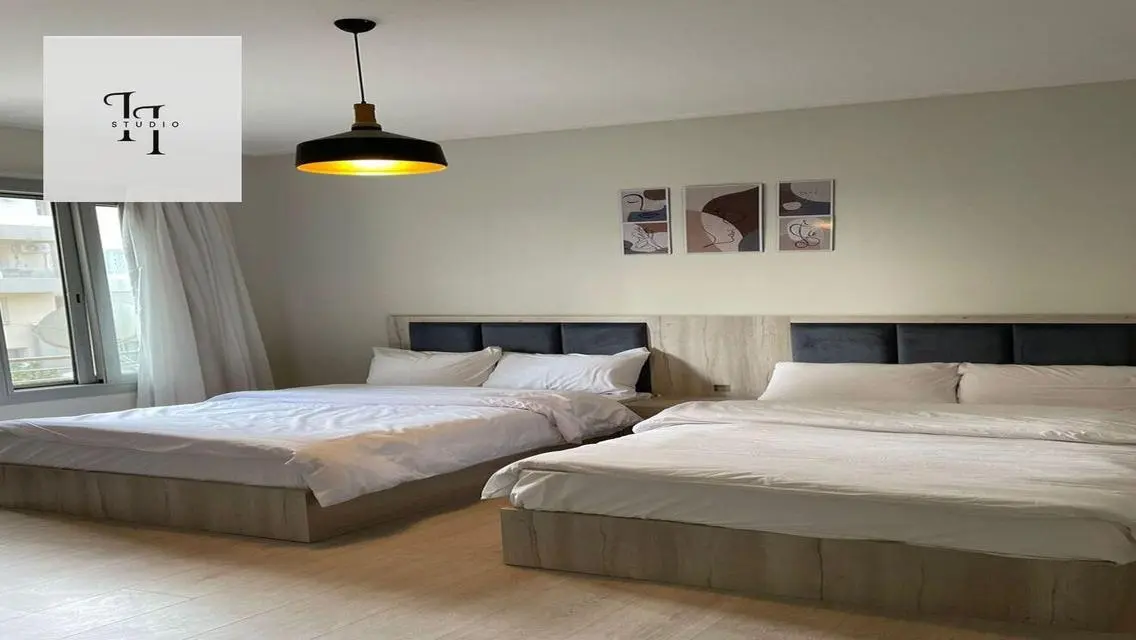 Luxury Apartment in AUC
