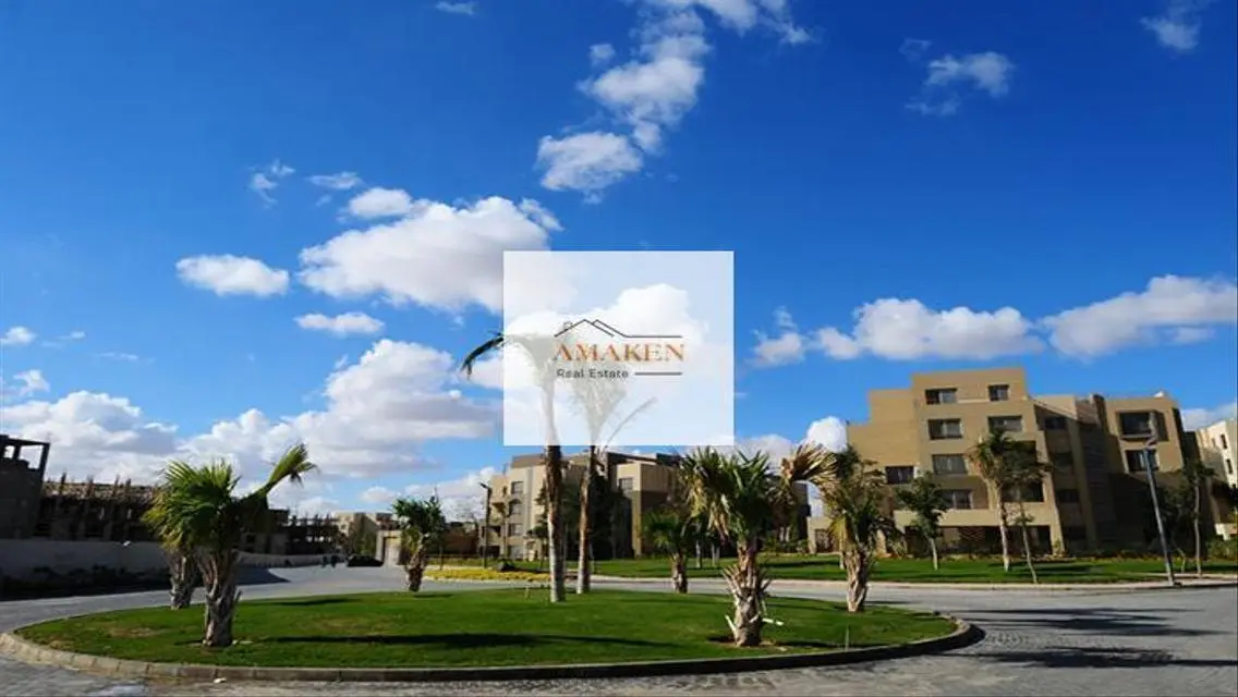 Luxury Apartment for Rent in Palm Parks - 92