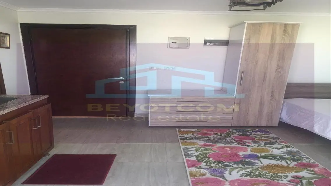 Luxury Apartment Overlooking Lake in the Heart of the City