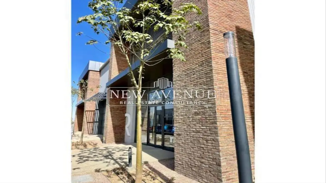 Luxury Apartment with Balcony and Security Guard