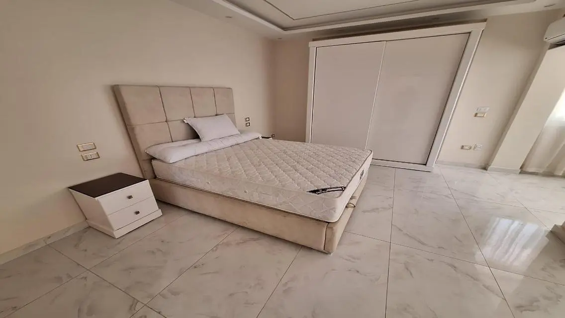 Furnished Apartment for Rent in Zamalek