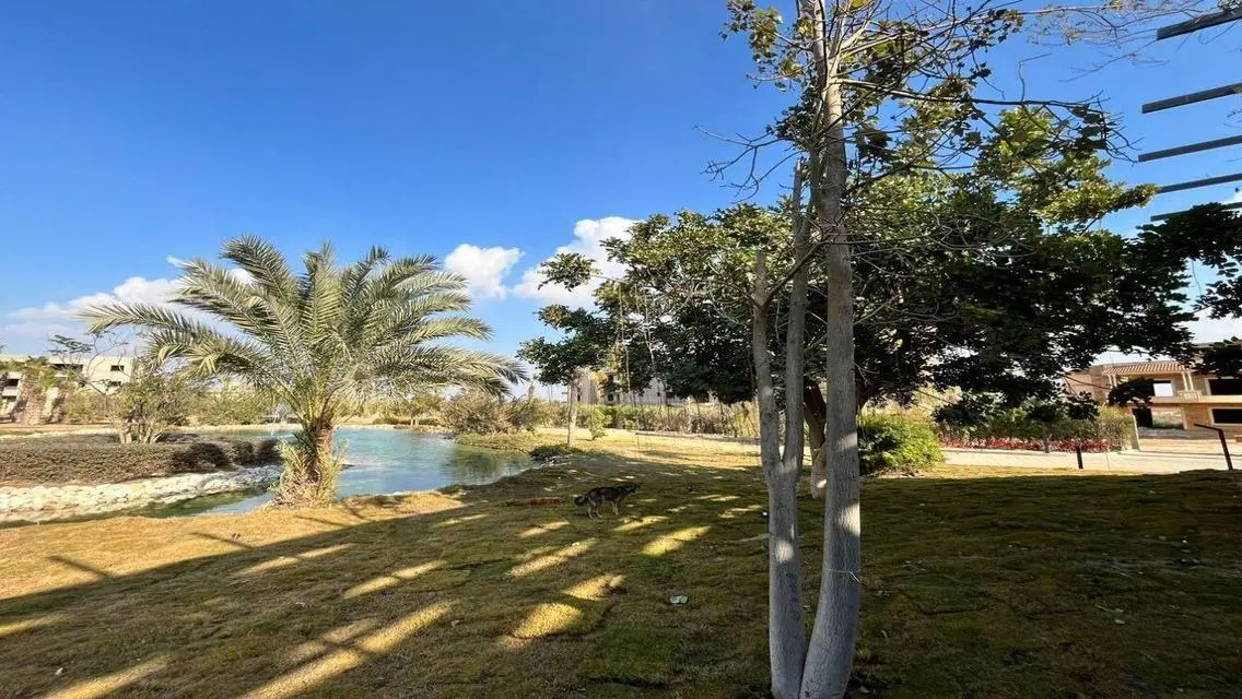 فيلا فاخرة في كمبوند رويّا الجديدة في زايد