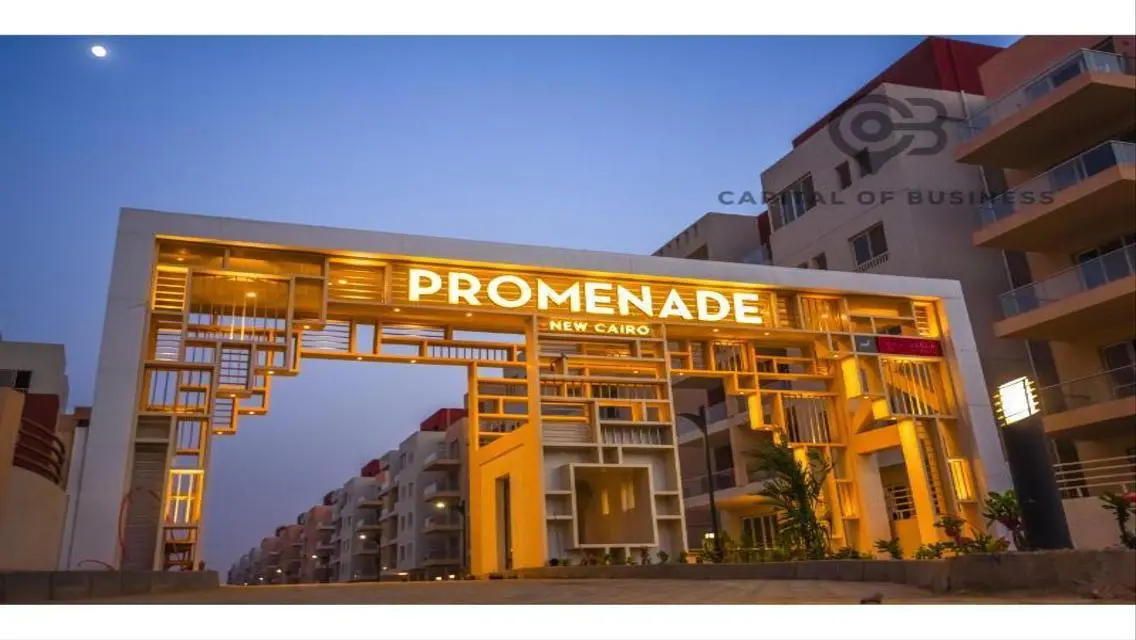 Luxury Apartment in AUC Waterway Mall