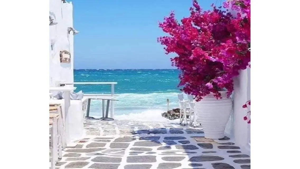 Luxury Villa with 92 sqm in Mountain View, North Coast