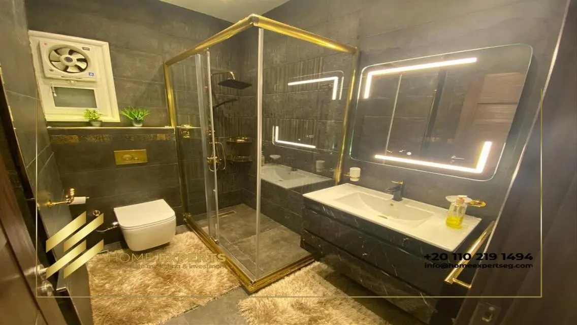 Luxury Apartment for Rent in NCC 2015