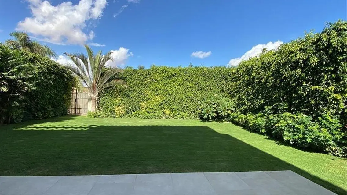 Stunning Home in Meadows Park
