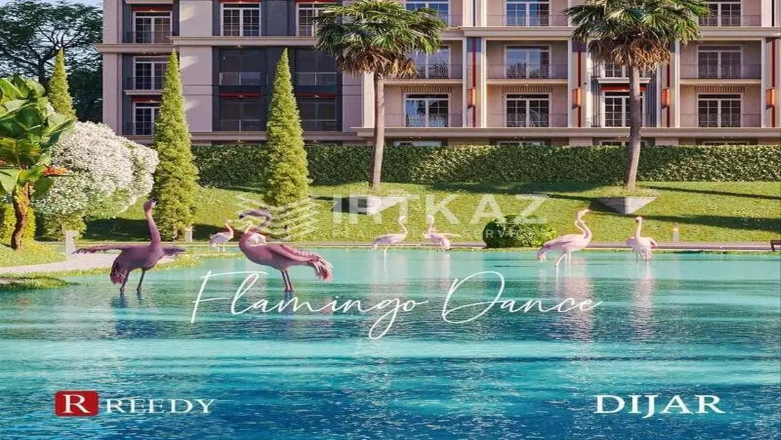 Luxury Apartment in Dijar - Reedy Group