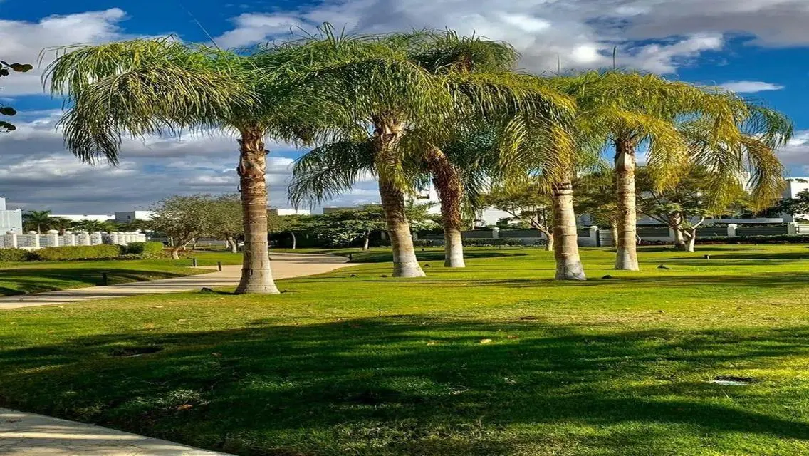 Luxury Villas for Sale in a Tranquil Area