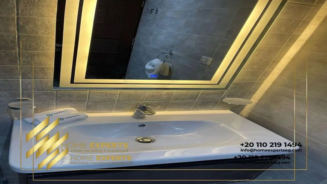 The best furnished apart with garden in Villette !