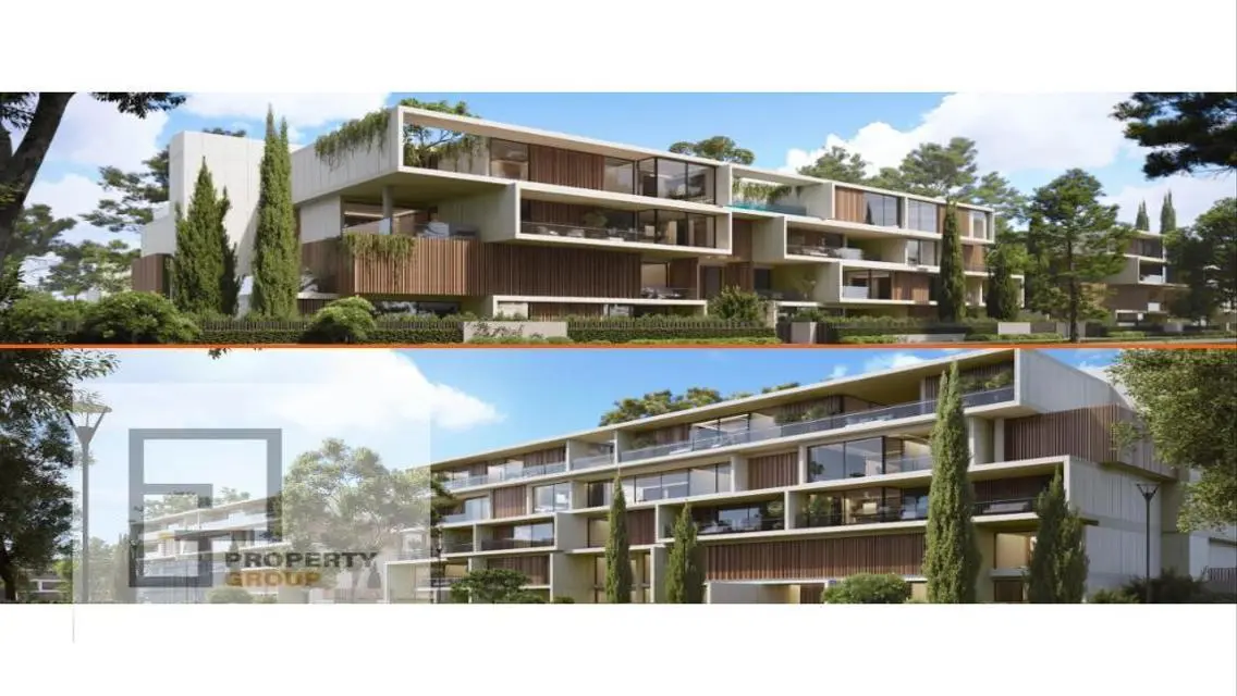 Why is NMQ Compound your best choice? Find out now