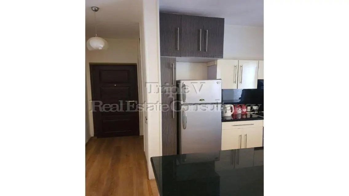 Luxury Apartment with Various Amenities in the Heart of the City