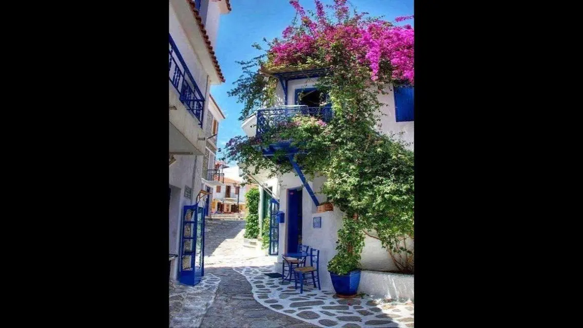 سكالا راس الحكمه شاليه دور اول فيو مميز جدا
