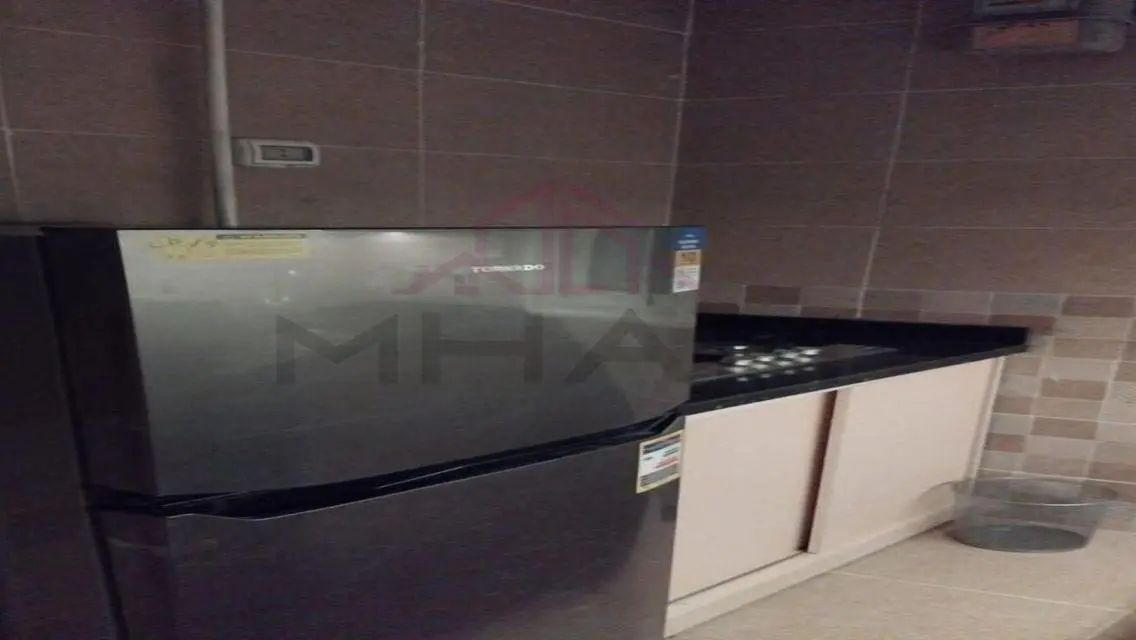 Furnished apartment for rent, ultra-luxury, in B12