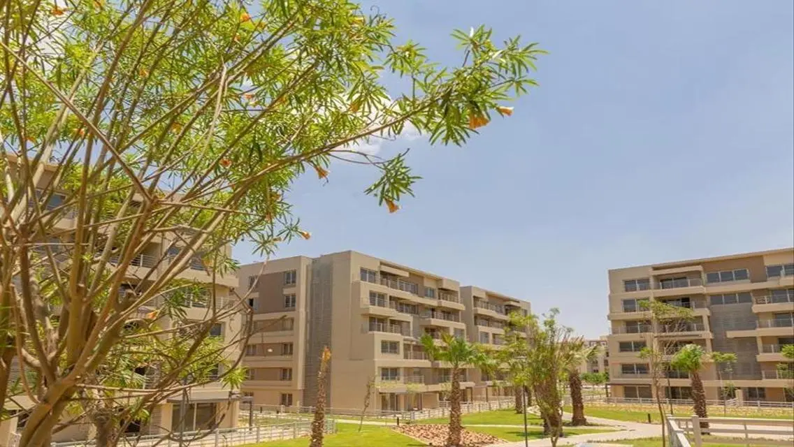 Apartment with immediate receipt in Palm Hills New