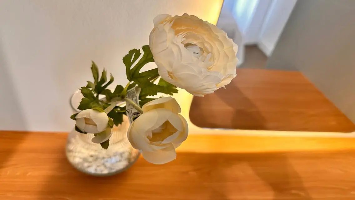 Fist use modern fully furnished flat 