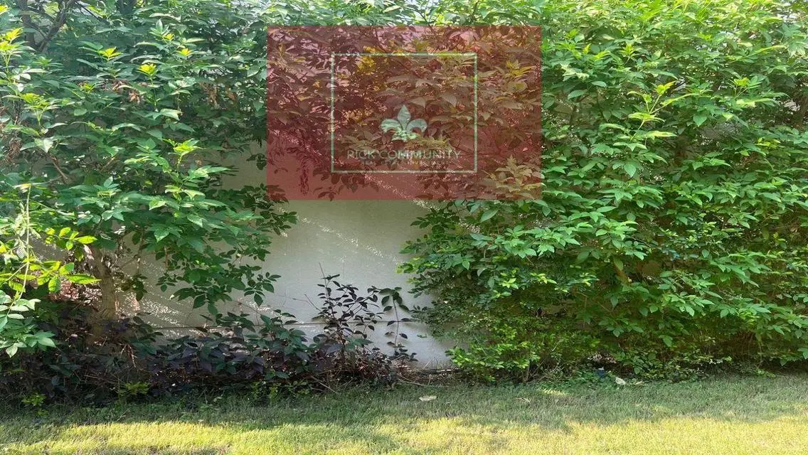 Elegant apartment with garden for rent in CFC
