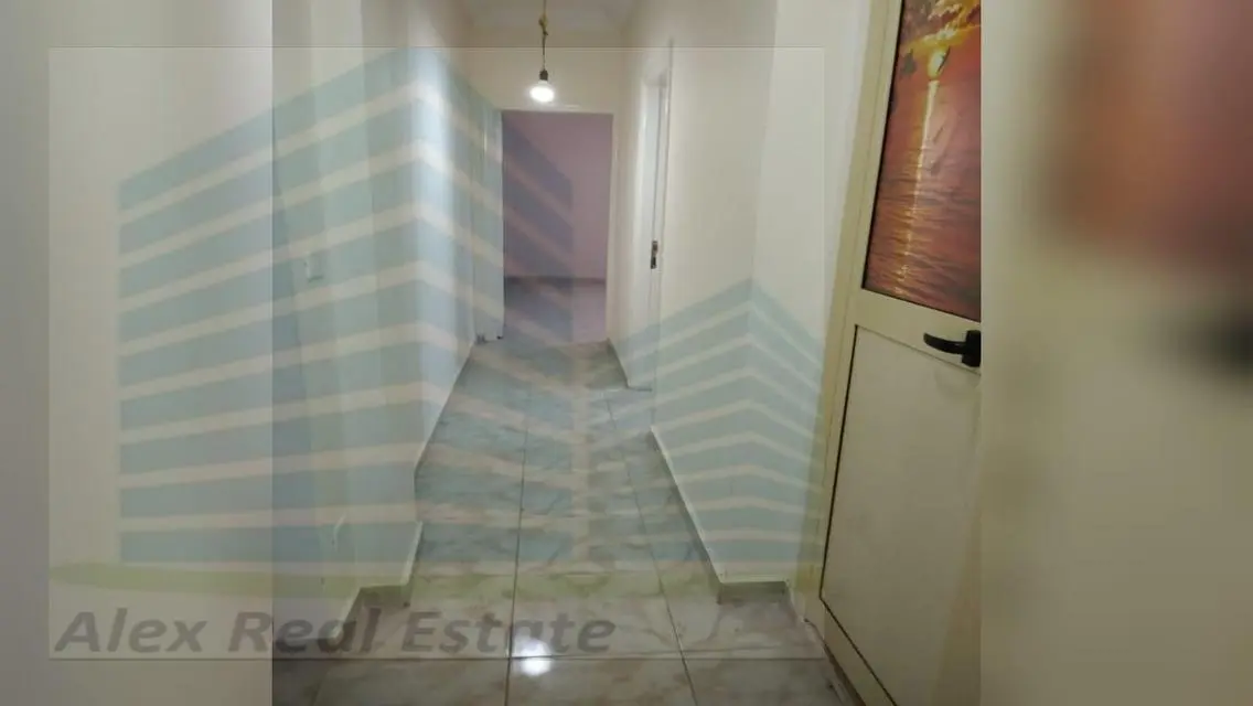 للايجار الاداري في سموحه شارع توت عنخ امون