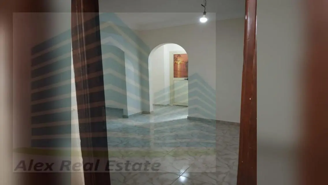 للايجار الاداري في سموحه شارع توت عنخ امون