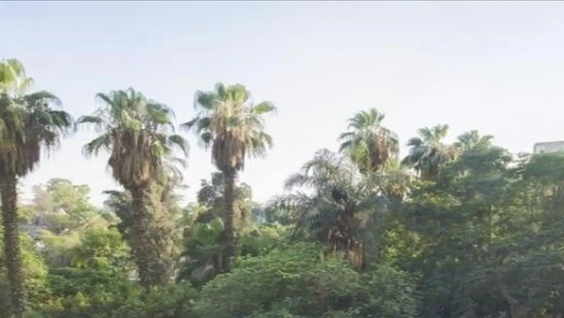 شقة للبيع في الزمالك القبلية.