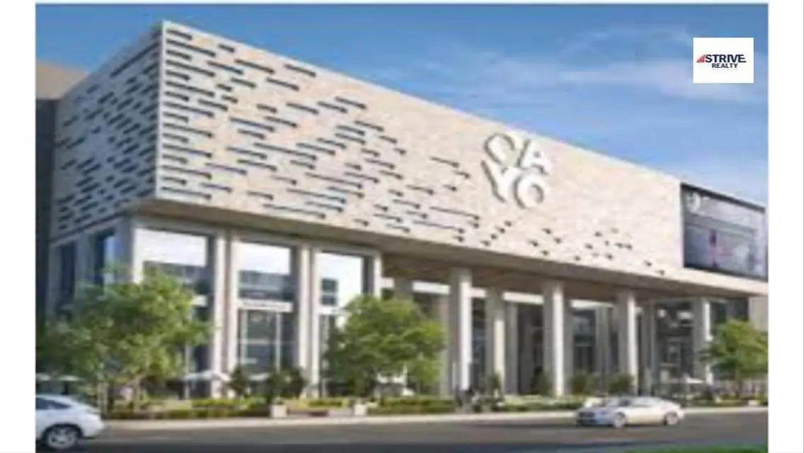 Own a shop in Cayo Mall, New Capital