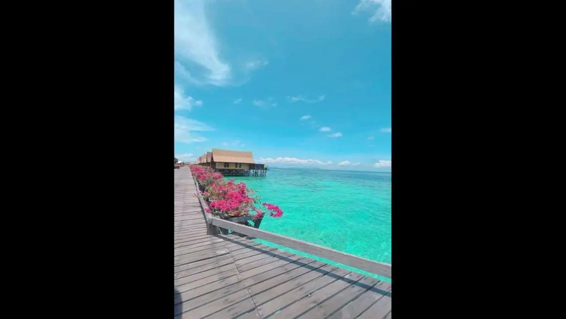 امتلك شاليه باقل مقدم في قلب راس الحكمه ايفيا