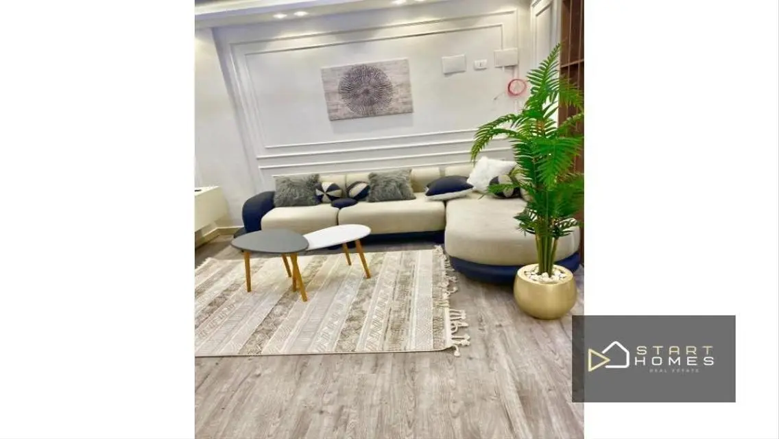 Furnished apartment for rent in Madinaty,