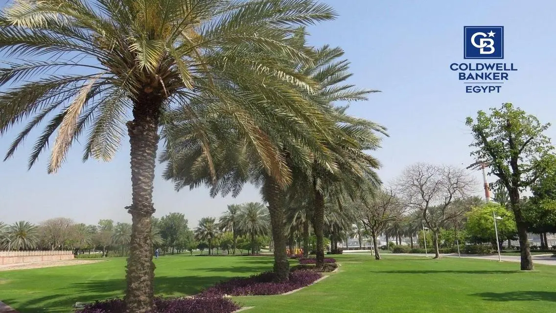 شقة فاخرة في قلب القاهرة بسعر معقول