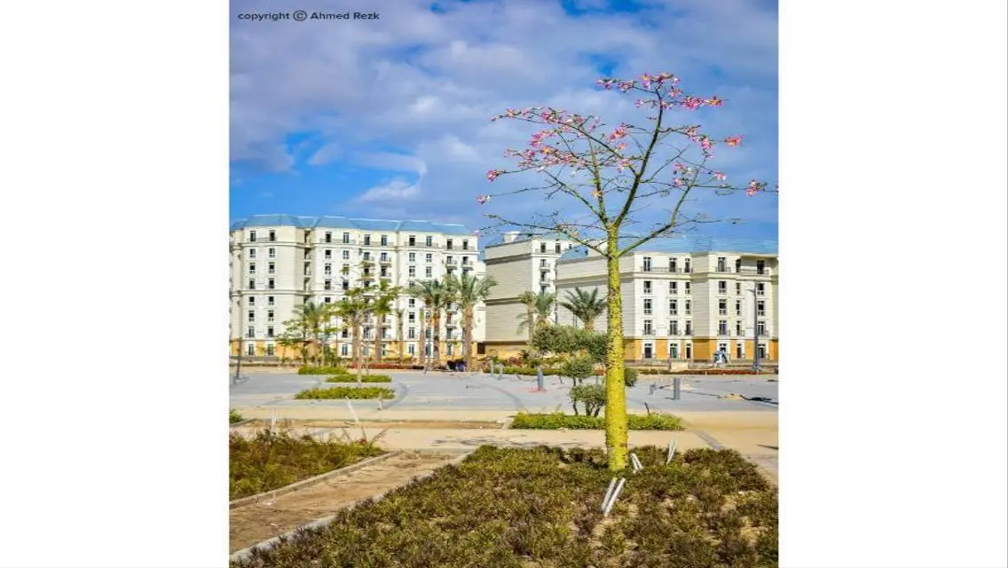 Distinctive panoramic unit in latin district 5% DP