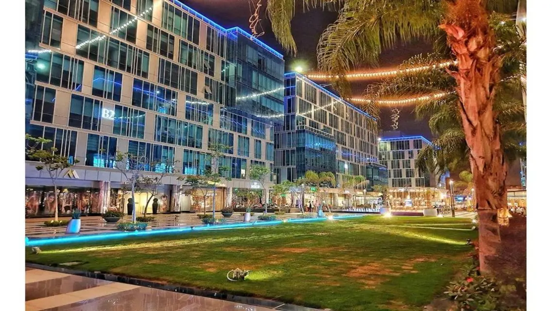 office 498m2 Capital Business Park Sheikh Zayed